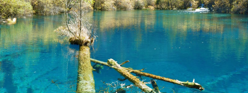 A lake on Jiuzhaigou National Park in Sichuan, China