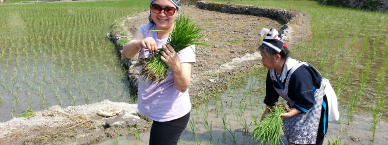 Rice planting